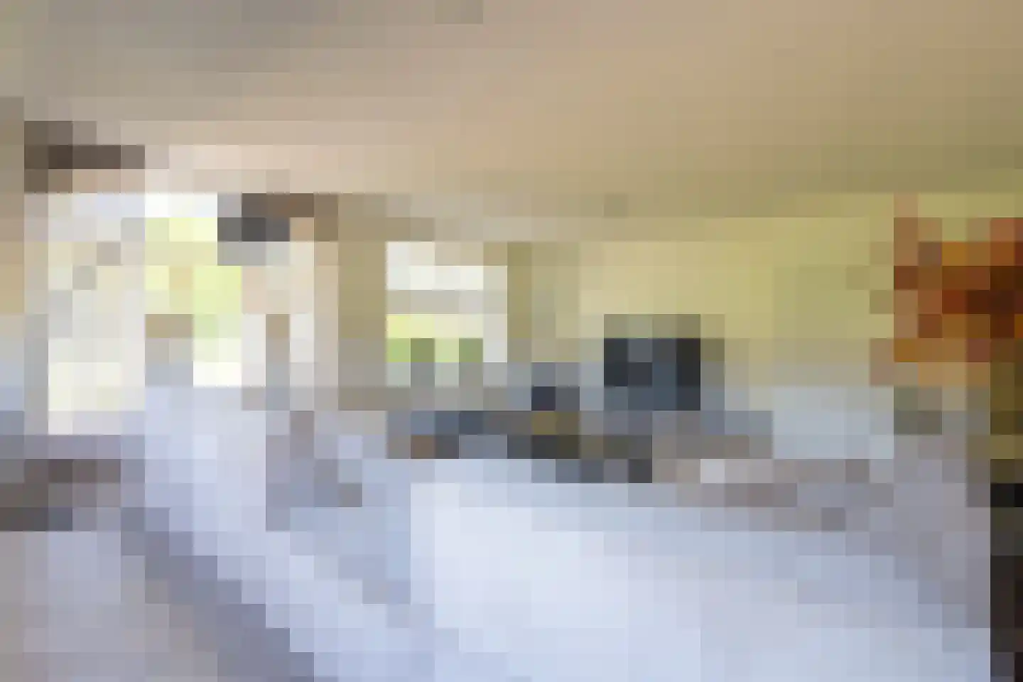 Oranjekanaal Z.Z. 8 Zwiggelte thumbnail 5