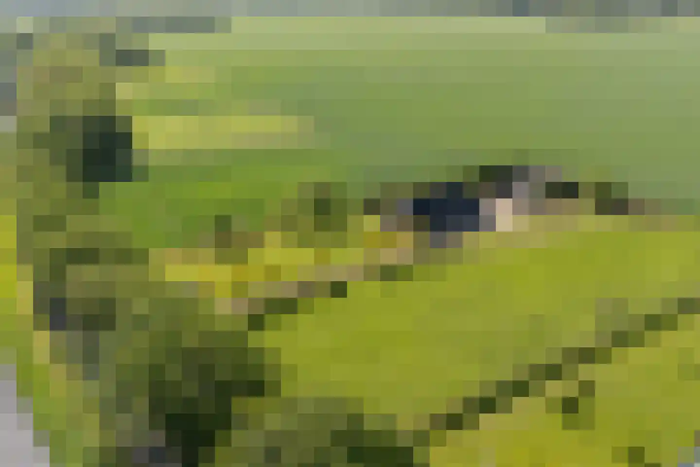 Oranjekanaal Z.Z. 8 Zwiggelte thumbnail 54