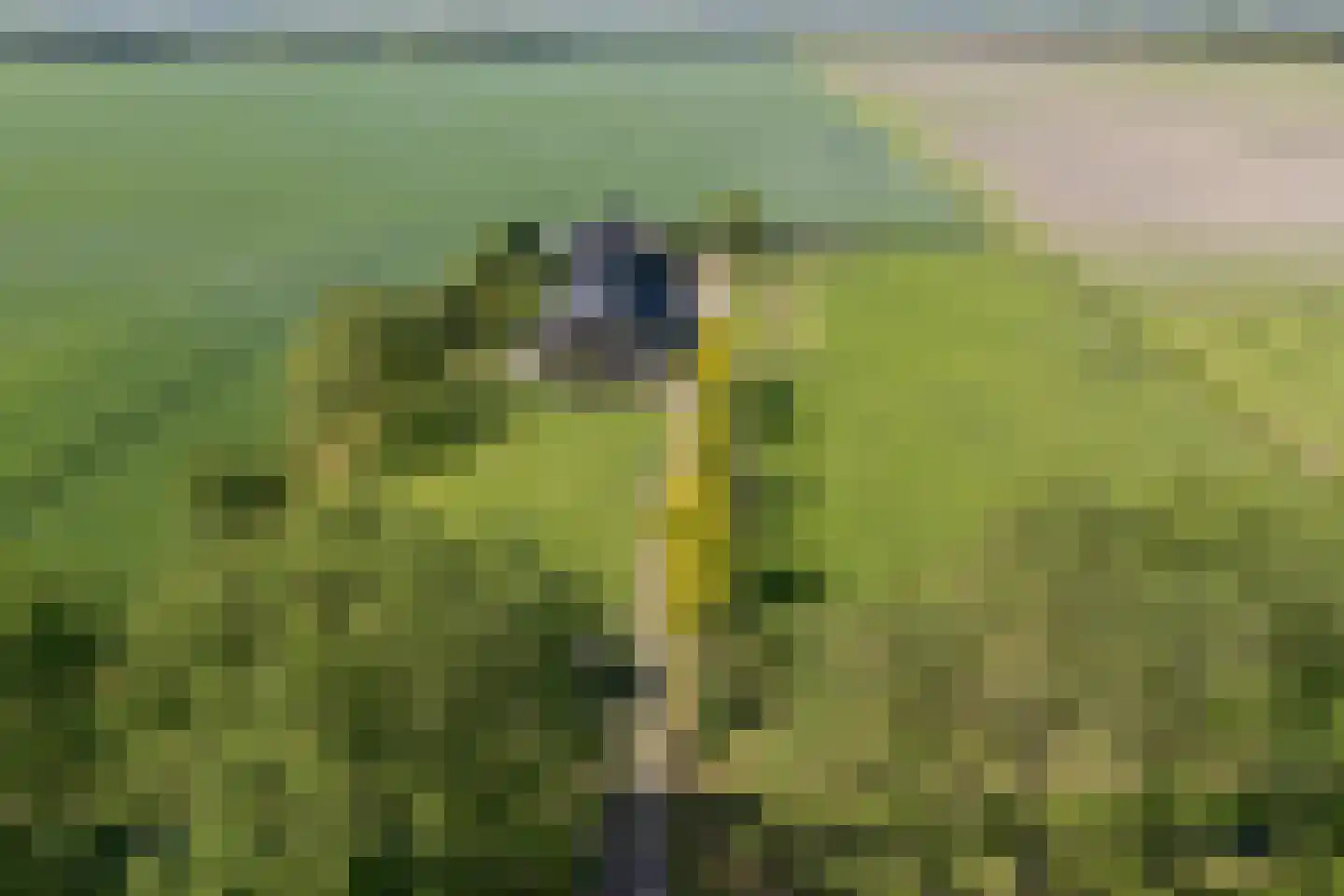 Oranjekanaal Z.Z. 8 Zwiggelte thumbnail 55