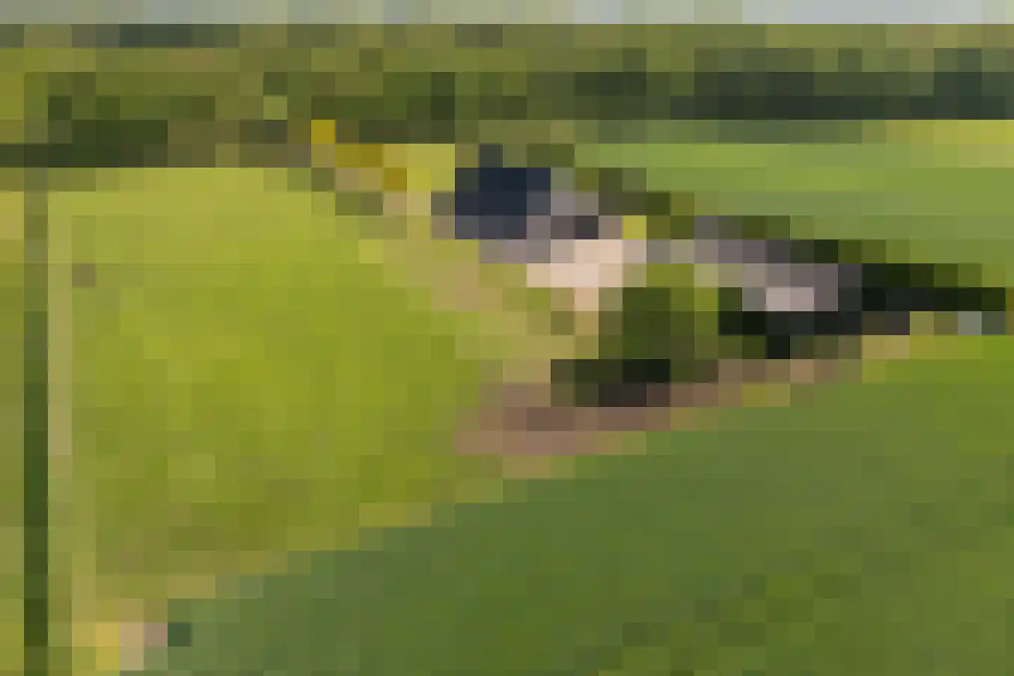 Oranjekanaal Z.Z. 8 Zwiggelte thumbnail 57