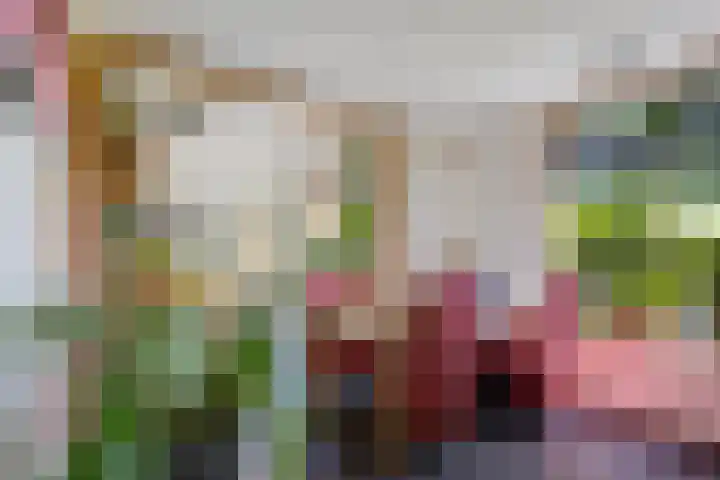 Oranjekanaal ZZ 30 Emmen thumbnail 10