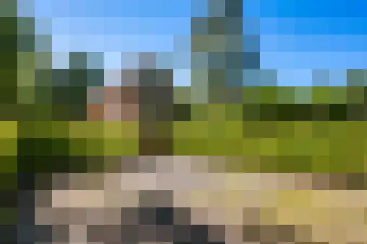 Oranjekanaal ZZ 30 Emmen thumbnail 31
