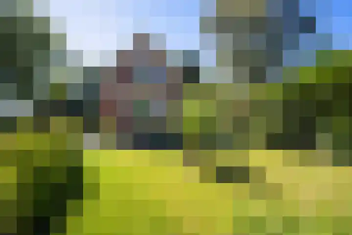 Oranjekanaal ZZ 30 Emmen thumbnail 32