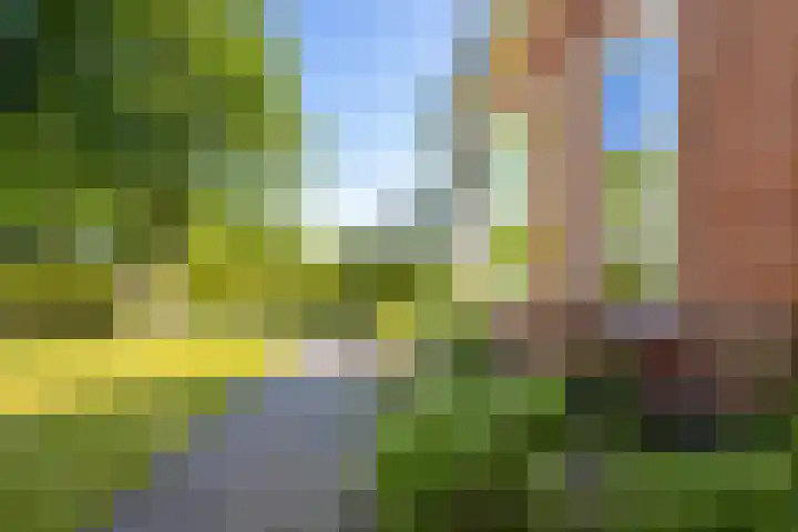 Oranjekanaal ZZ 30 Emmen thumbnail 33