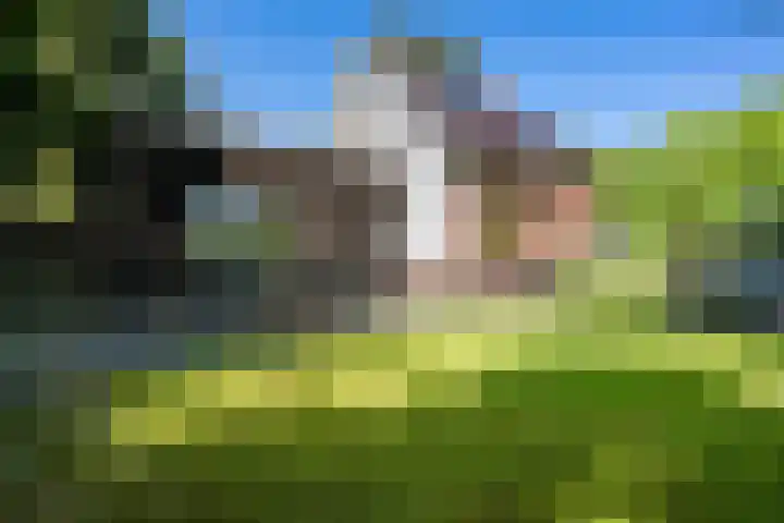 Oranjekanaal ZZ 30 Emmen thumbnail 35