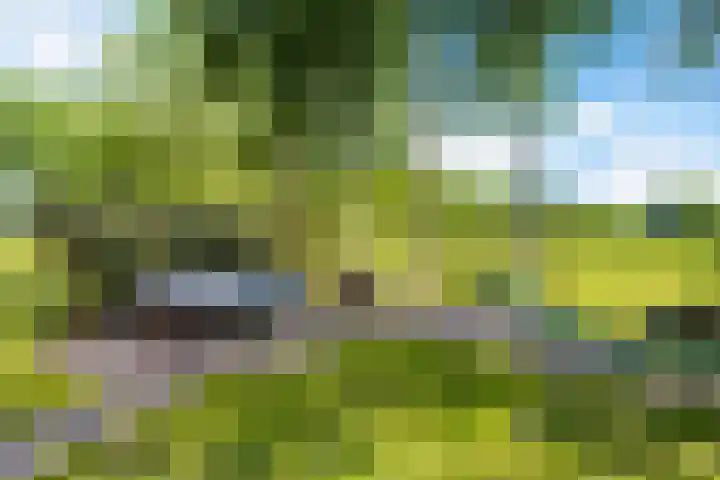 Oranjekanaal ZZ 30 Emmen thumbnail 39