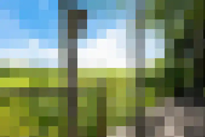 Oranjekanaal ZZ 30 Emmen thumbnail 40