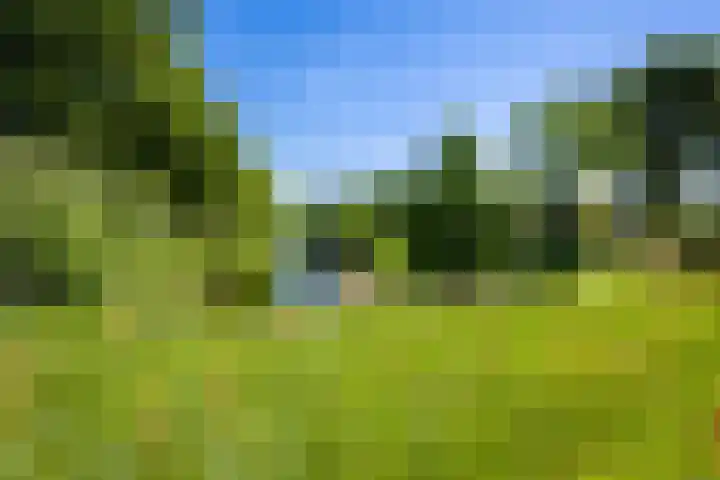 Oranjekanaal ZZ 30 Emmen thumbnail 42