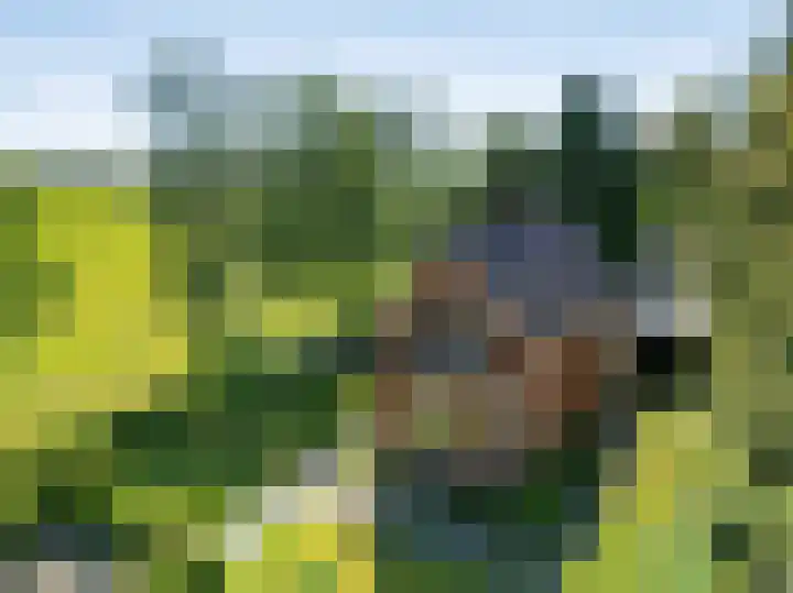 Oranjekanaal ZZ 30 Emmen thumbnail 46