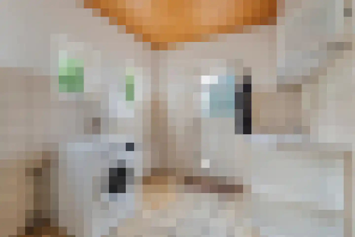 Oranjekanaal ZZ 7 Wezuperbrug thumbnail 20