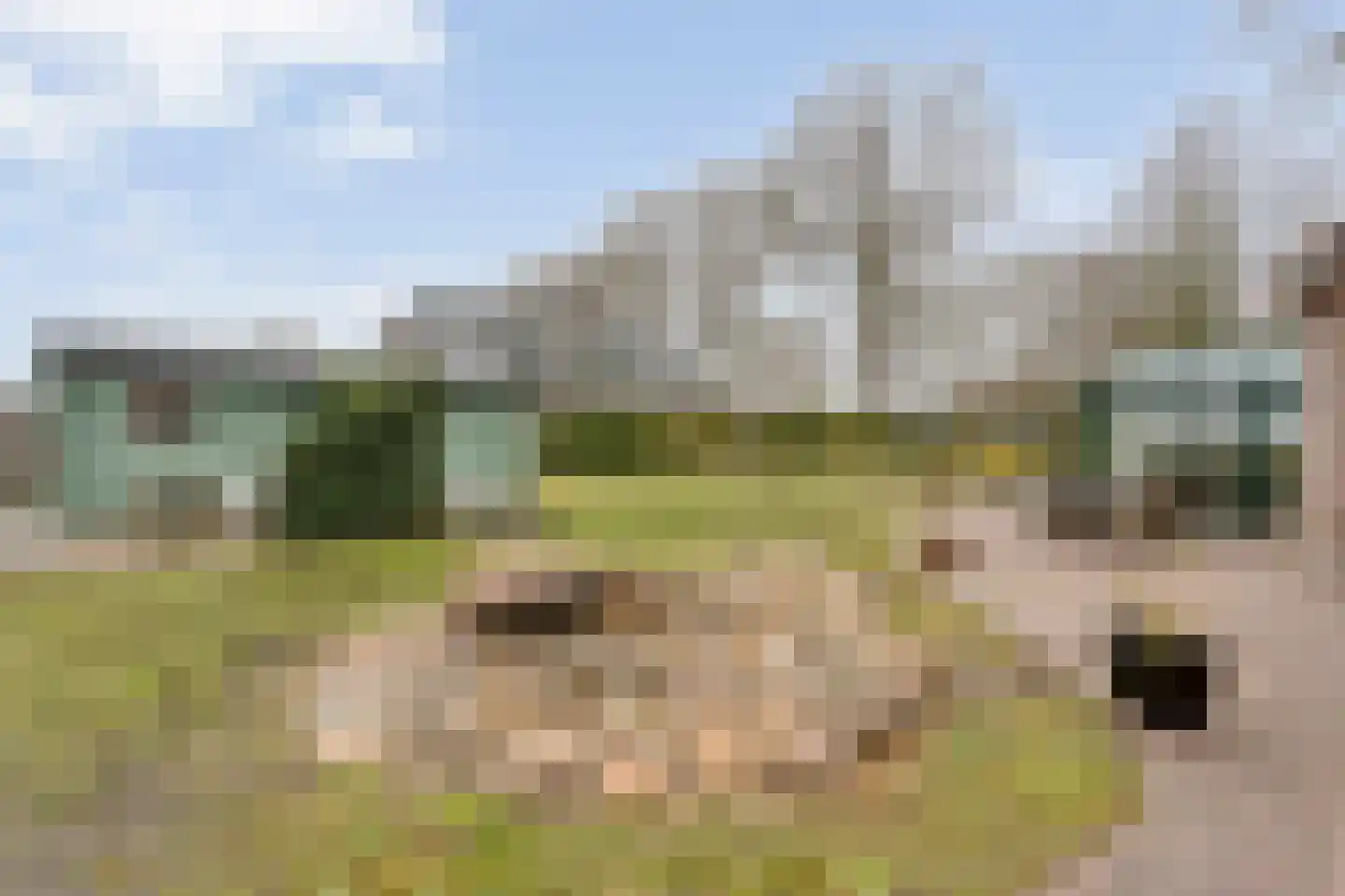 Oranjekanaal ZZ 7 Wezuperbrug thumbnail 46