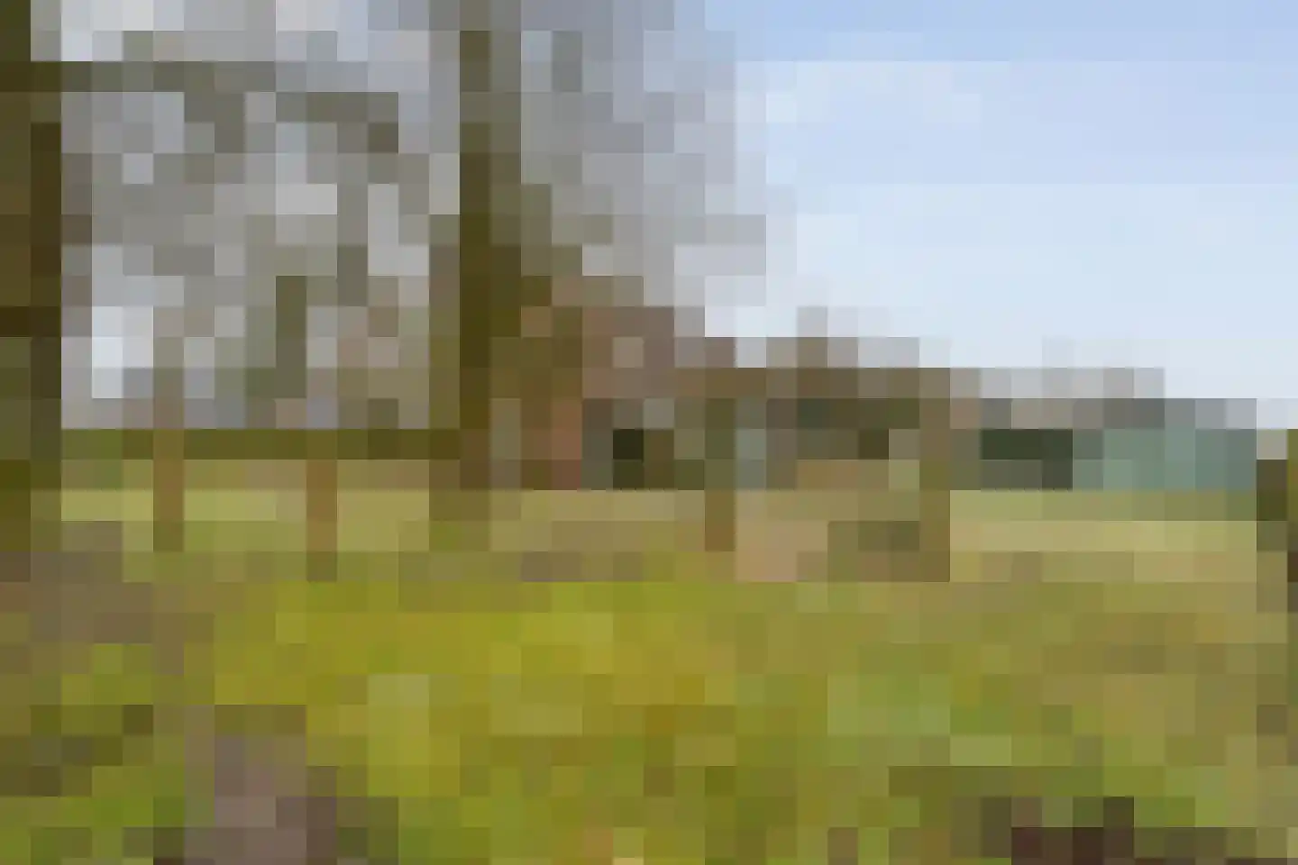 Oranjekanaal ZZ 7 Wezuperbrug thumbnail 50
