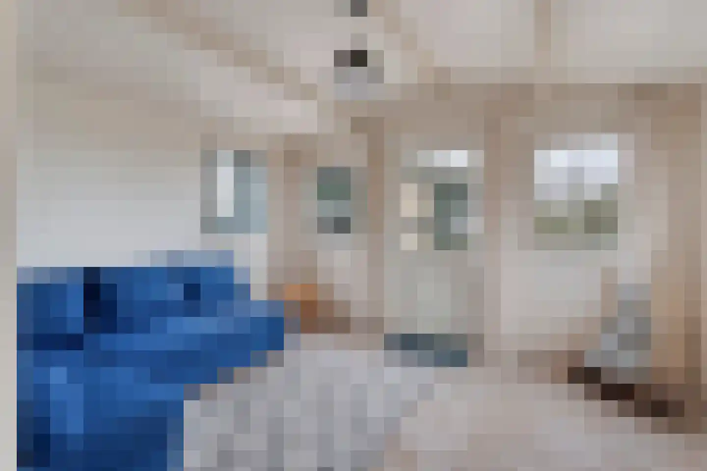 Oranjekanaal ZZ 7 Wezuperbrug thumbnail 57