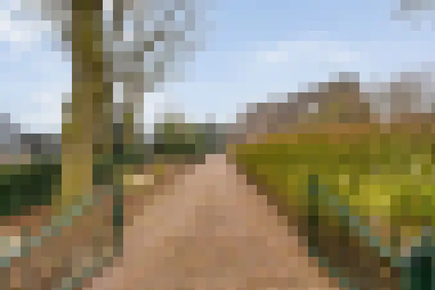 Oranjekanaal ZZ 7 Wezuperbrug thumbnail 6