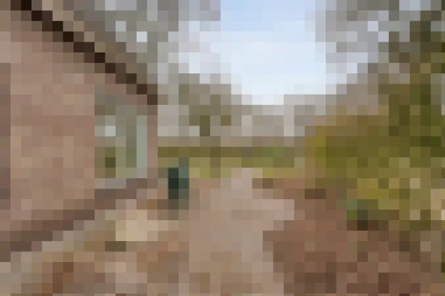 Oranjekanaal ZZ 7 Wezuperbrug thumbnail 68
