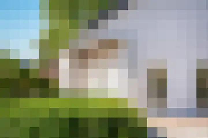 Oranjelaan 1 b Dodewaard thumbnail 11