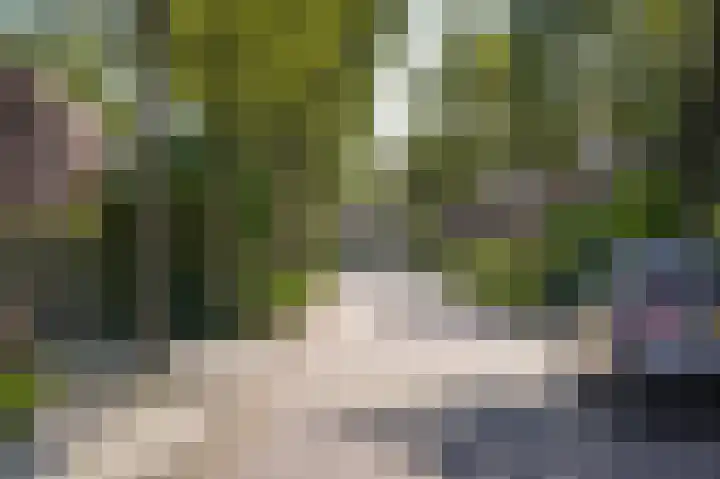 Oranjelaan 1 b Dodewaard thumbnail 20