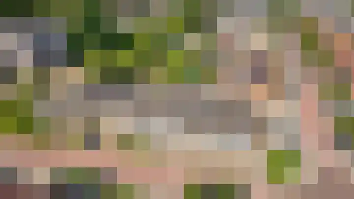 Oranjelaan 1 b Dodewaard thumbnail 24