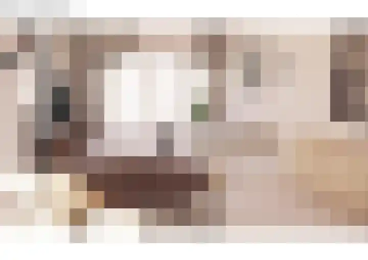 Oranjelaan 1 b Dodewaard thumbnail 30