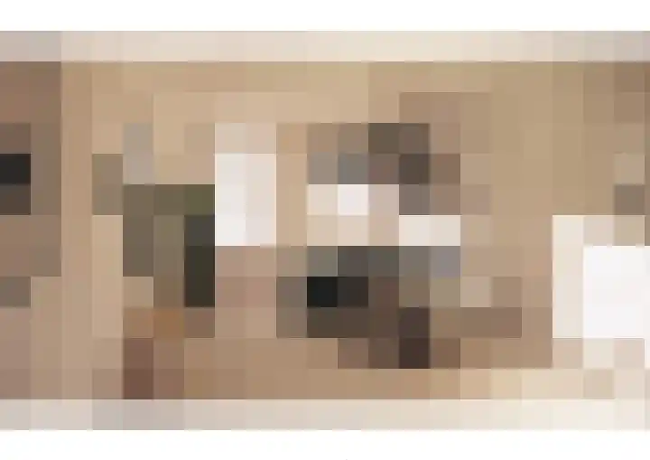 Oranjelaan 1 b Dodewaard thumbnail 33
