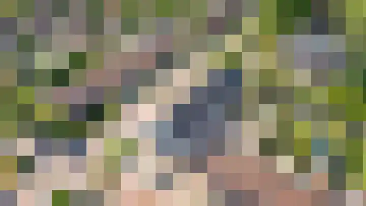 Oranjelaan 1 b Dodewaard thumbnail 4
