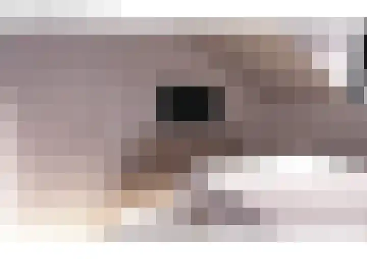 Oranjelaan 1 b Dodewaard thumbnail 40