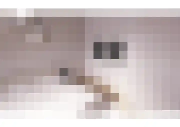 Oranjelaan 1 b Dodewaard thumbnail 43