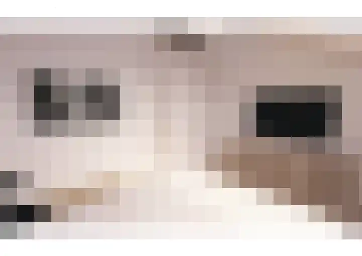 Oranjelaan 1 b Dodewaard thumbnail 44