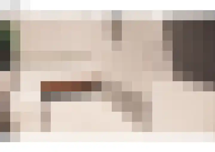 Oranjelaan 1 b Dodewaard thumbnail 58