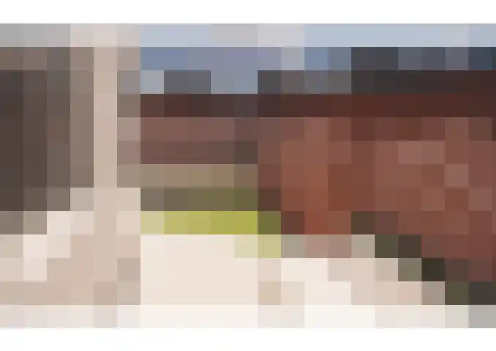 Oranjelaan 1 b Dodewaard thumbnail 61