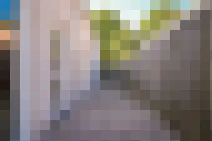 Oranjelaan 1 b Dodewaard thumbnail 9