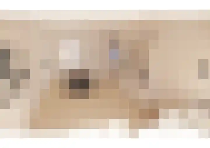 Oranjelaan 1 c Dodewaard thumbnail 29