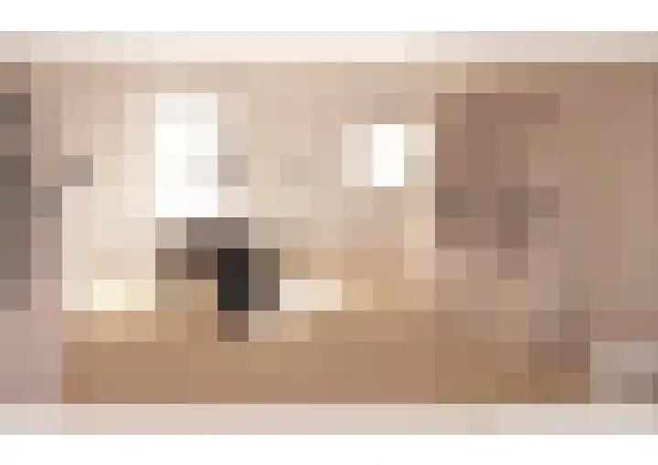 Oranjelaan 1 c Dodewaard thumbnail 32