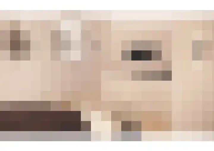Oranjelaan 1 c Dodewaard thumbnail 33