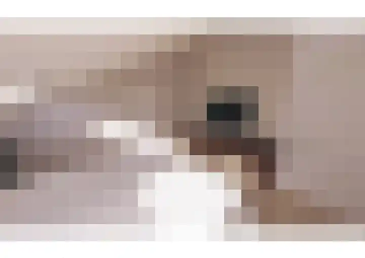 Oranjelaan 1 c Dodewaard thumbnail 50