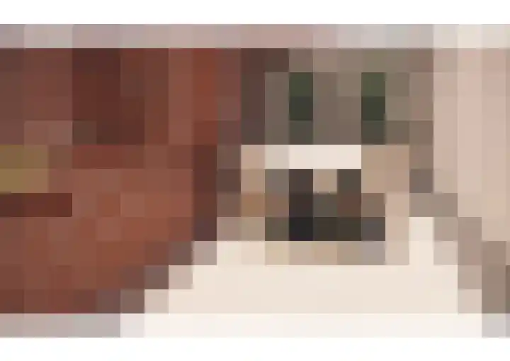 Oranjelaan 1 c Dodewaard thumbnail 67
