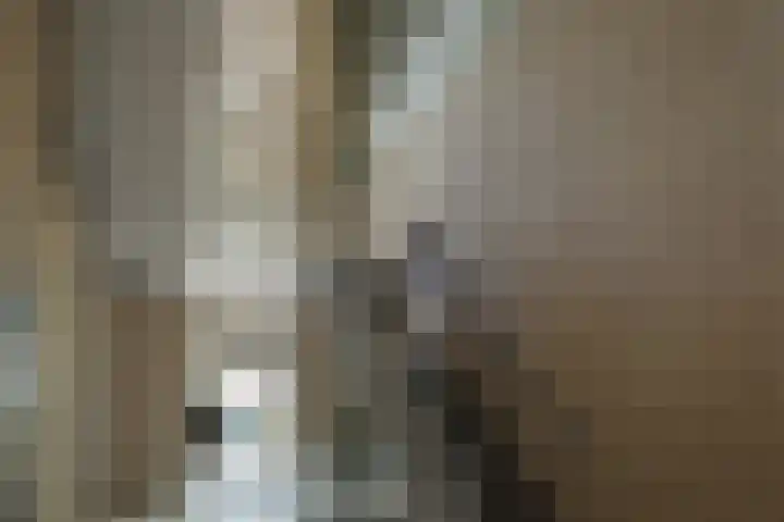 Oranjelaan 1 D 1 Dordrecht thumbnail 8