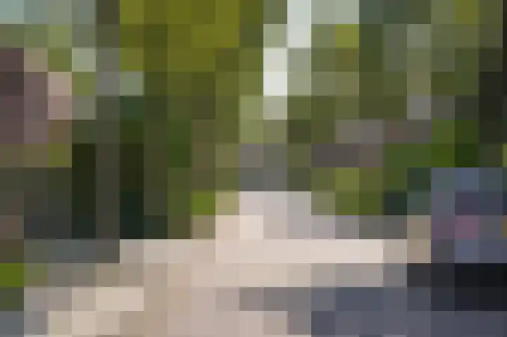 Oranjelaan 1 d Dodewaard thumbnail 23
