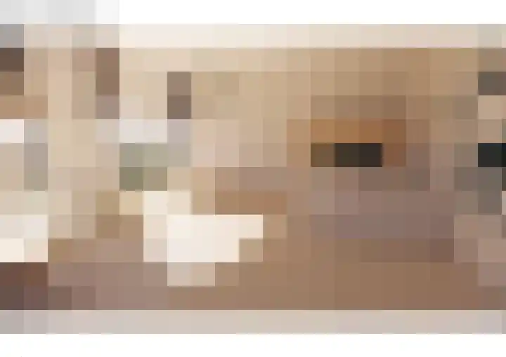 Oranjelaan 1 d Dodewaard thumbnail 32