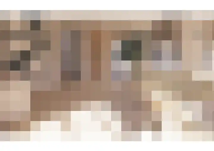 Oranjelaan 1 d Dodewaard thumbnail 35