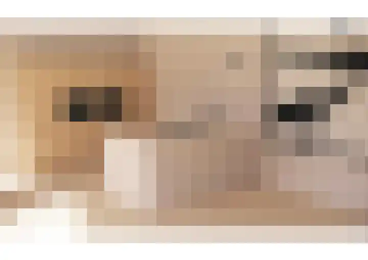 Oranjelaan 1 d Dodewaard thumbnail 36