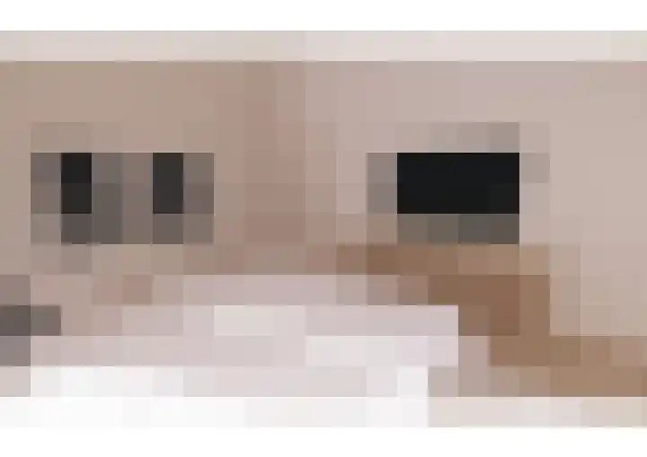 Oranjelaan 1 d Dodewaard thumbnail 42