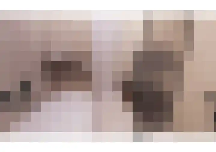 Oranjelaan 1 d Dodewaard thumbnail 53