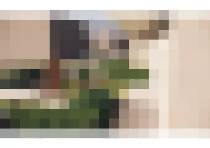 Oranjelaan 1 d Dodewaard thumbnail 55