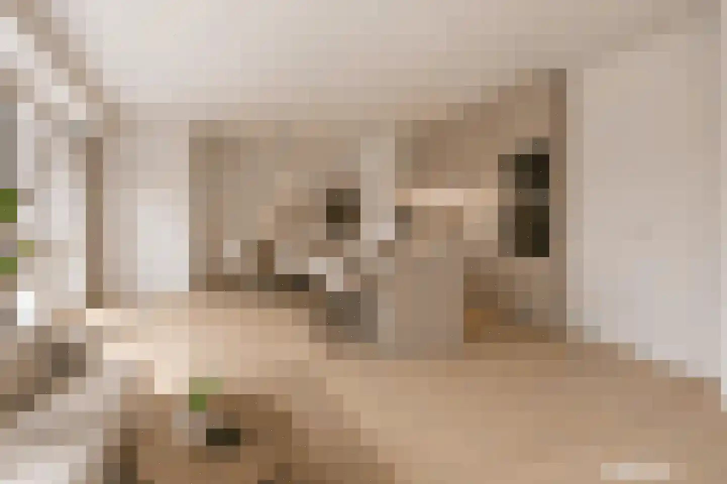 Oranjelaan 1 E Valkenburg thumbnail 5