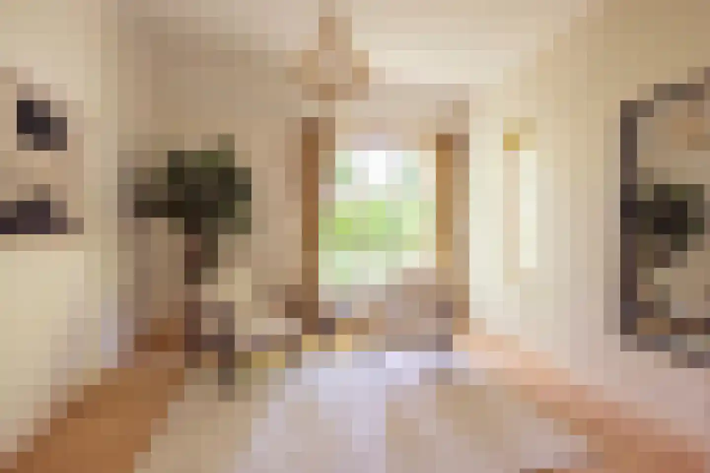 Oranjelaan 1 Ermelo thumbnail 15