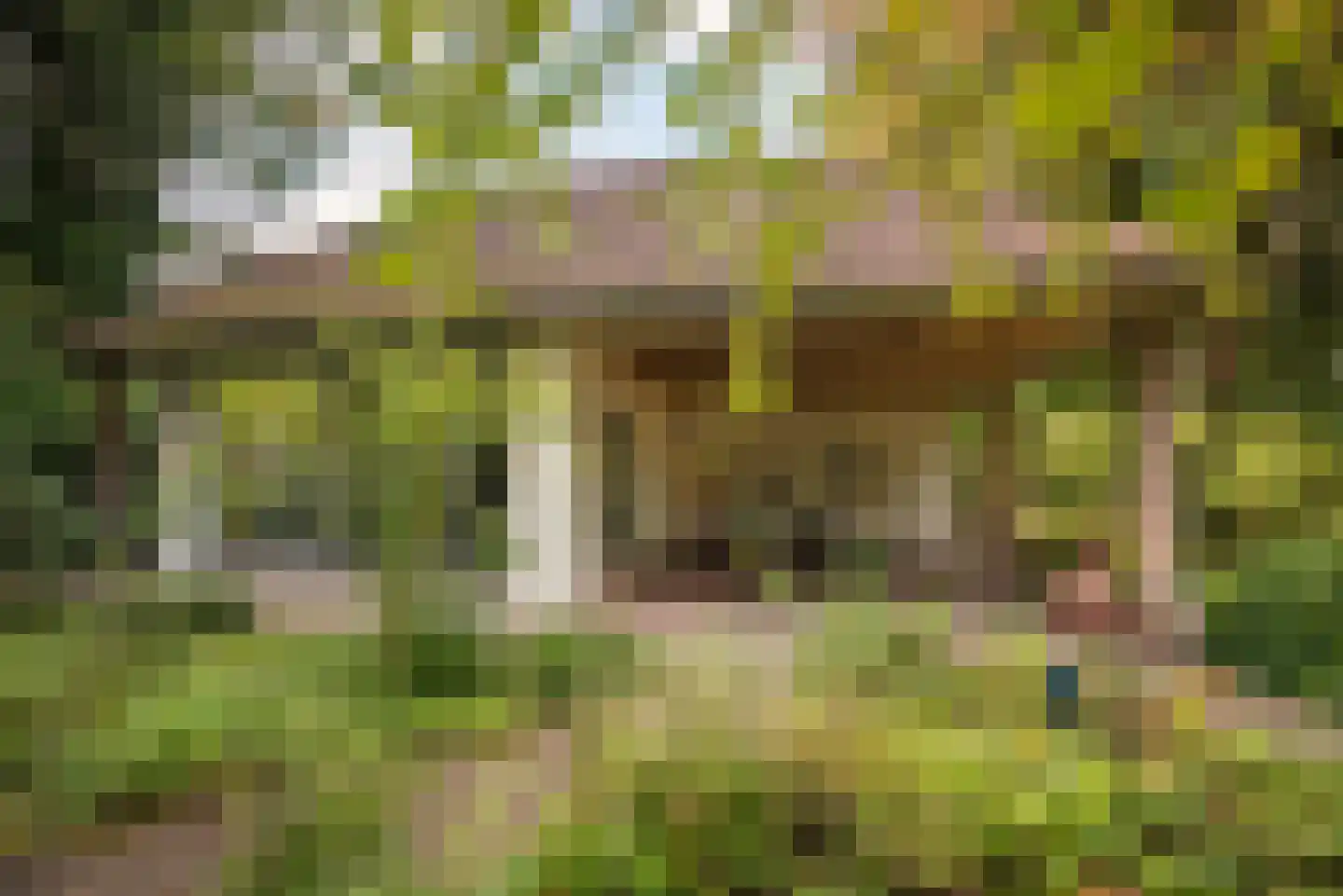 Oranjelaan 1 Ermelo thumbnail 17