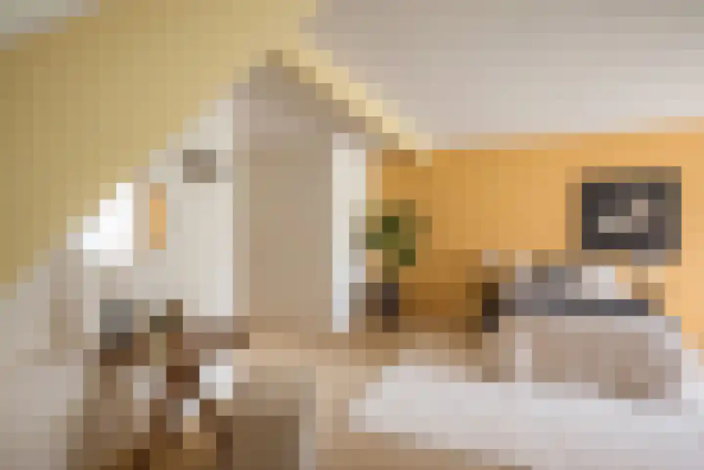 Oranjelaan 1 Ermelo thumbnail 31