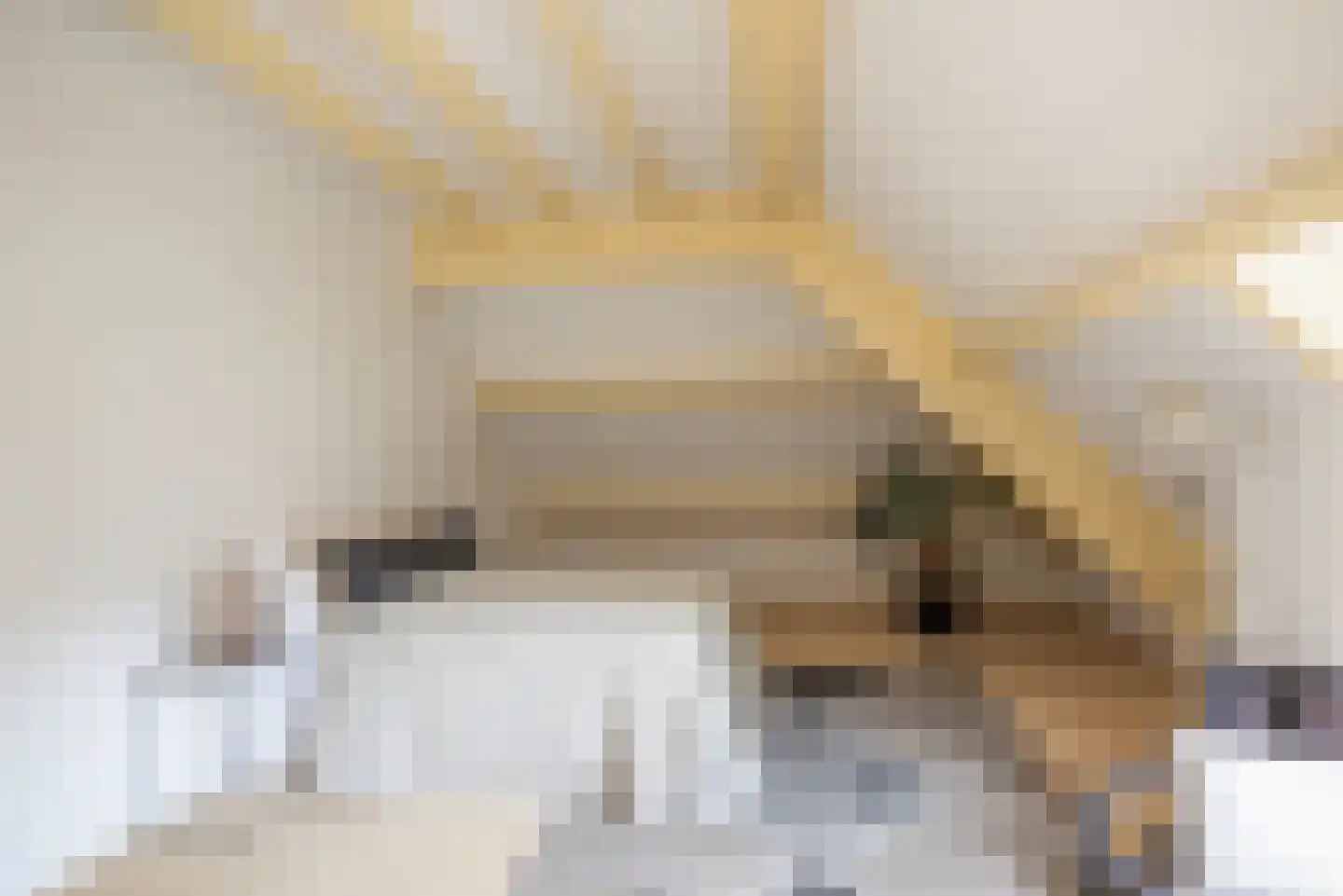 Oranjelaan 1 Ermelo thumbnail 36