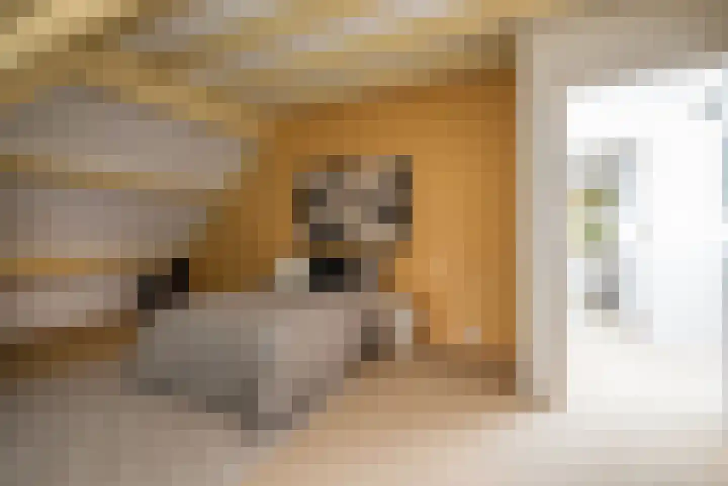 Oranjelaan 1 Ermelo thumbnail 38